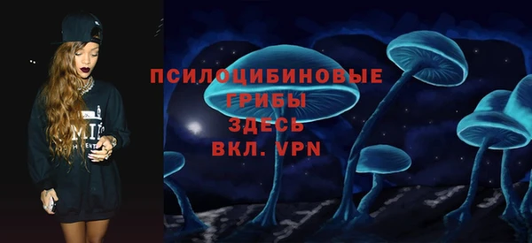 Альфа ПВП Бородино