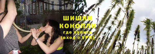 первитин Богородицк