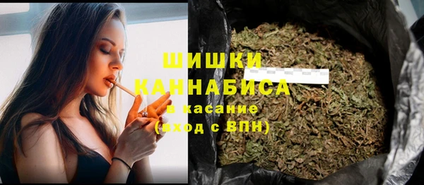 Альфа ПВП Бородино