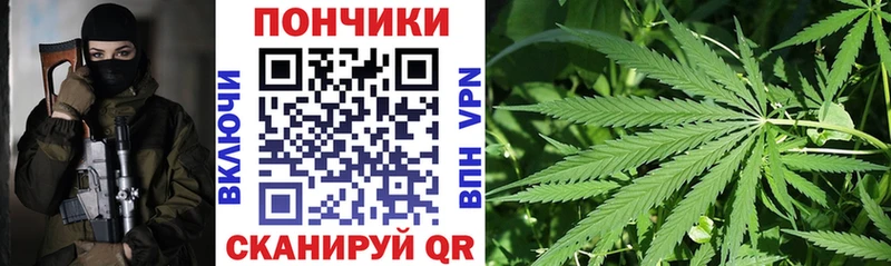 Бошки Шишки MAZAR Купить закладки Качканар